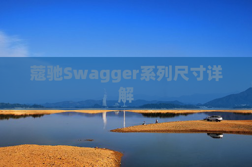 蔻驰Swagger系列尺寸详解